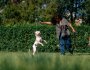 Pourquoi prendre des cours de dressage pour chien à Laval?