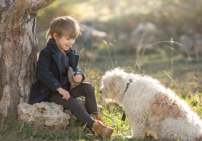 Comment éviter le mordillage chez les chiens: guide d’entraînement