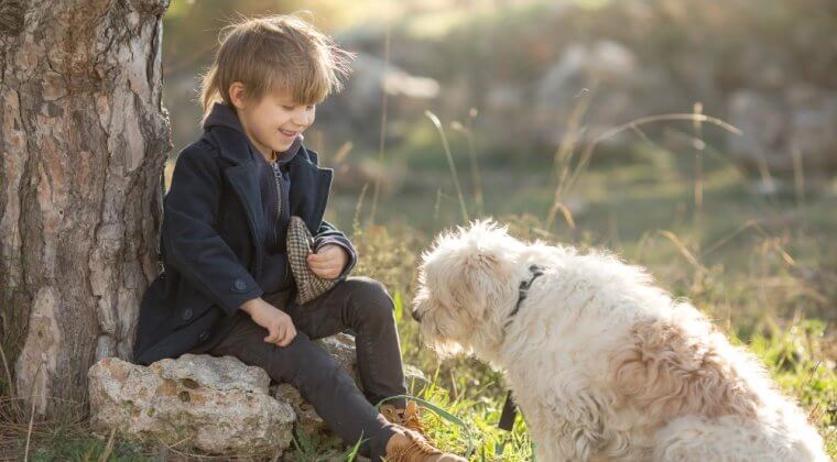 Comment éviter le mordillage chez les chiens: guide d’entraînement