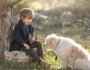 Comment éviter le mordillage chez les chiens: guide d’entraînement