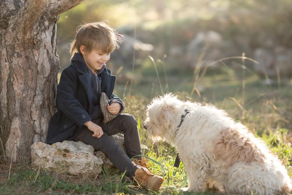 Comment éviter le mordillage chez les chiens: guide d’entraînement